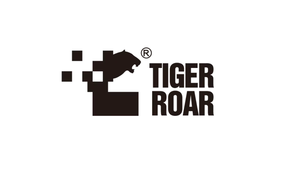 WSD Recognition - TIGER ROAR