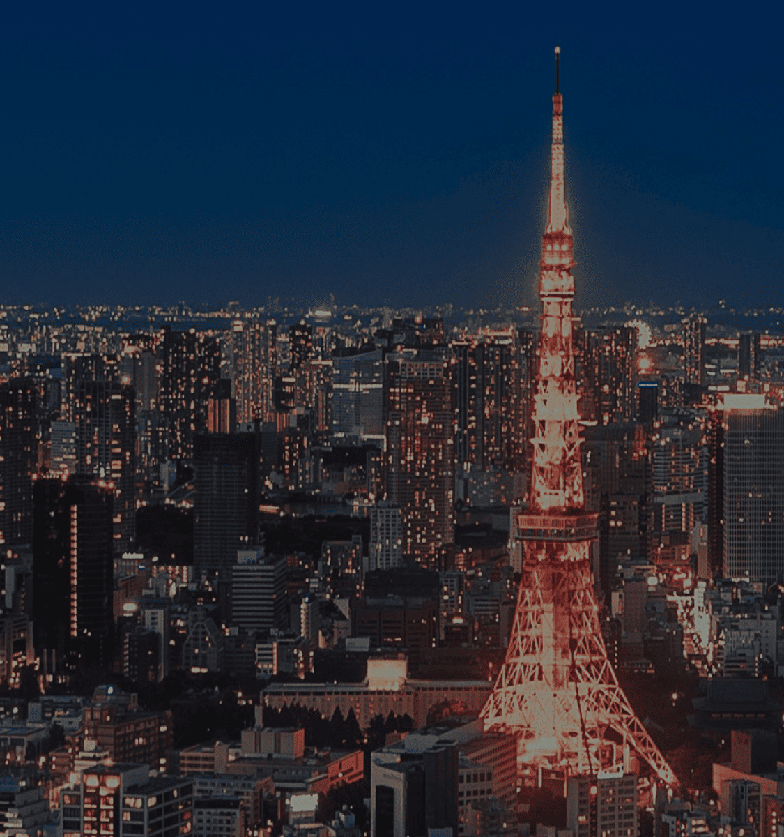 WSD Industry Insights Banner