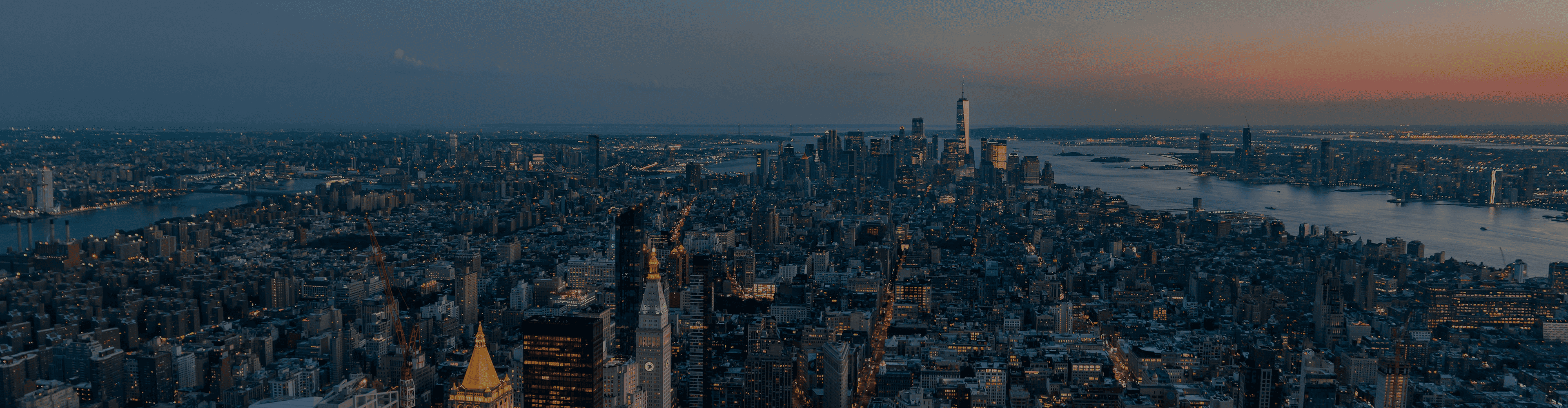 WSD Industry Insights Banner