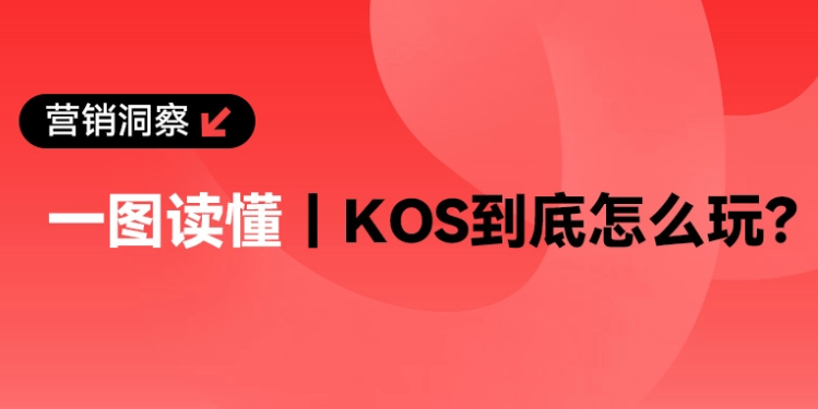 过来人经验分享｜2026小红书员工号(KOS)到底怎么玩？