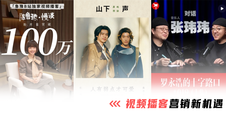 B站首次年度盈利,视频播客要成“下个风口”?