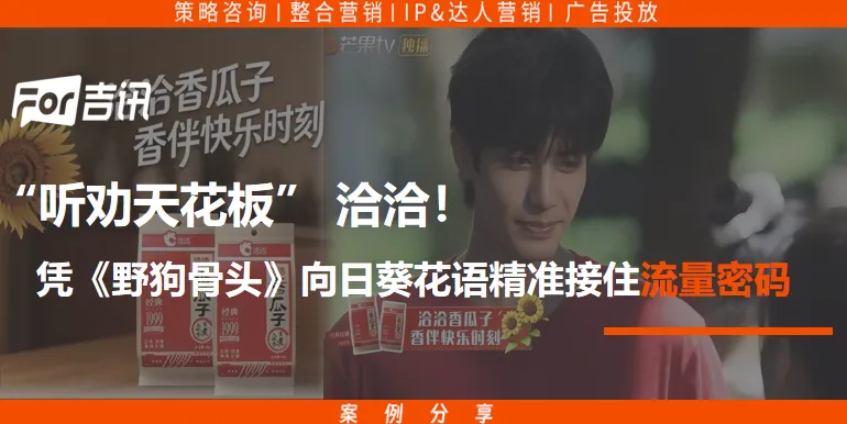 洽洽凭《野狗骨头》一句向日葵花语,精准接住流量密码!